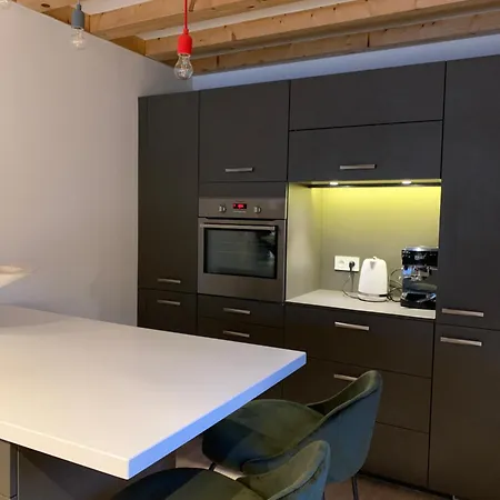 Duplex Les Glycines * Talloires